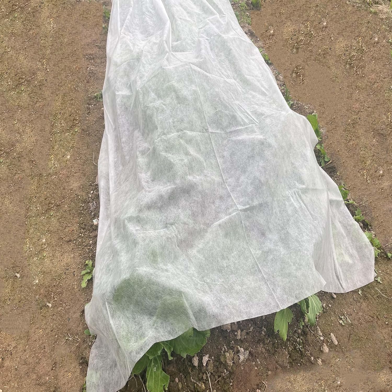 Garten-Vlies 1,5m×10m inkl. 6 Hooks – Frostschutzvlies & Abdeckvlies für Pflanzen, Atmungsaktives Frühbeetvlies für Gemüsebeete