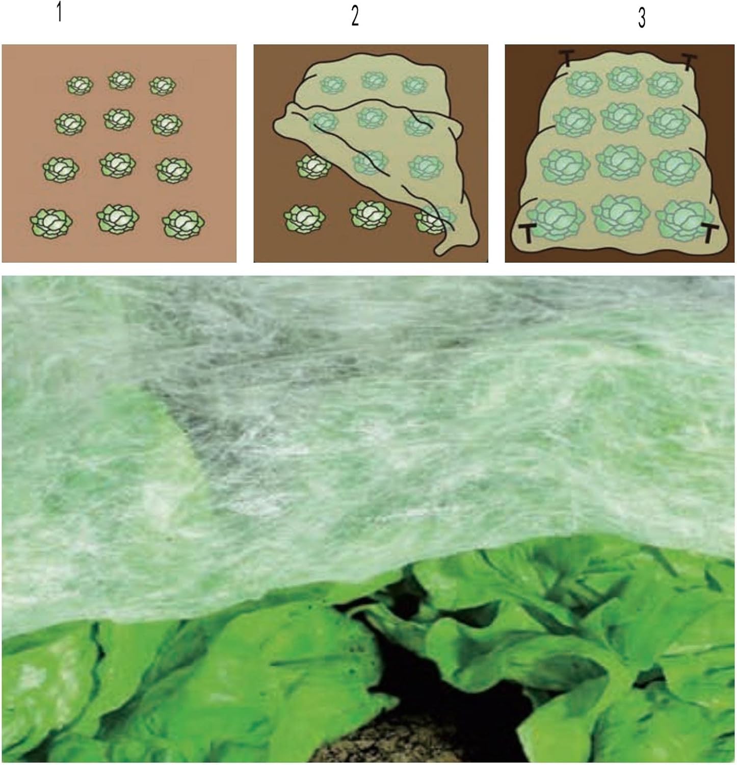 Garten-Vlies 1,5m×10m inkl. 6 Hooks – Frostschutzvlies & Abdeckvlies für Pflanzen, Atmungsaktives Frühbeetvlies für Gemüsebeete