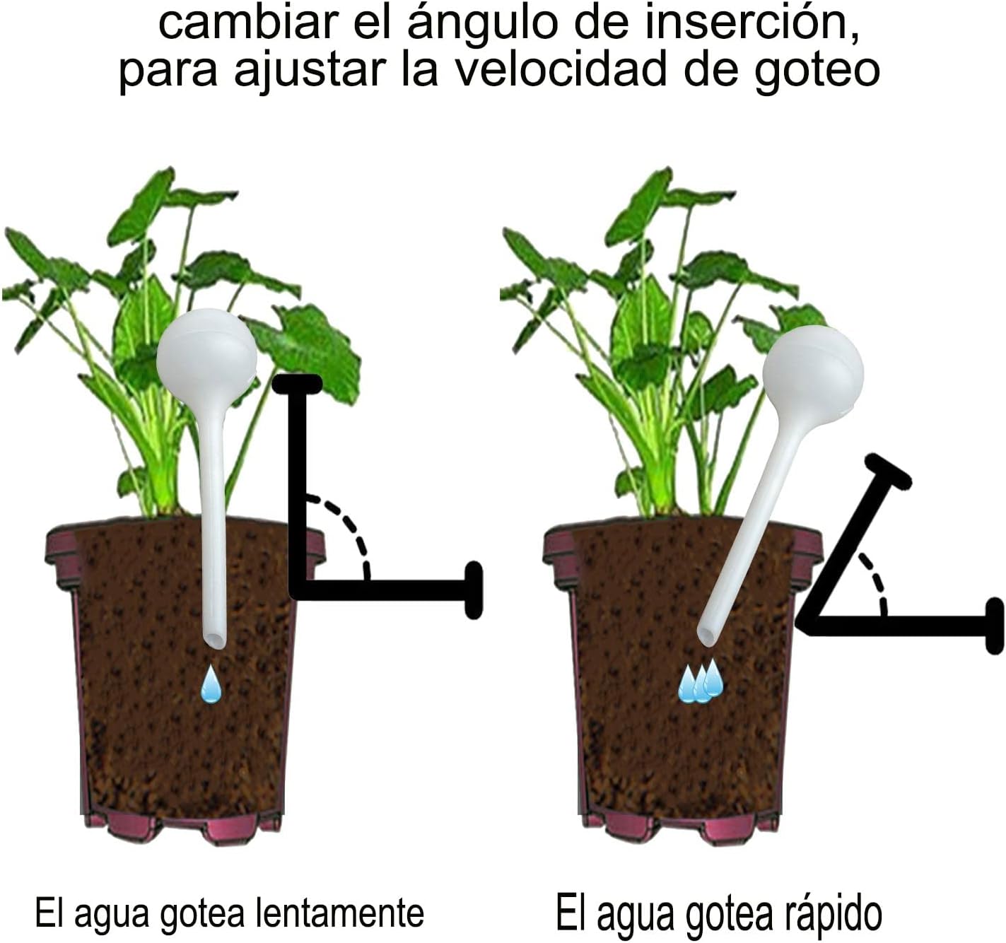 6 Stück Wasserkugel – Dosierte Bewässerung für Garten, Bonsai & Pflanzen, Automatisches Bewässerungsgerät