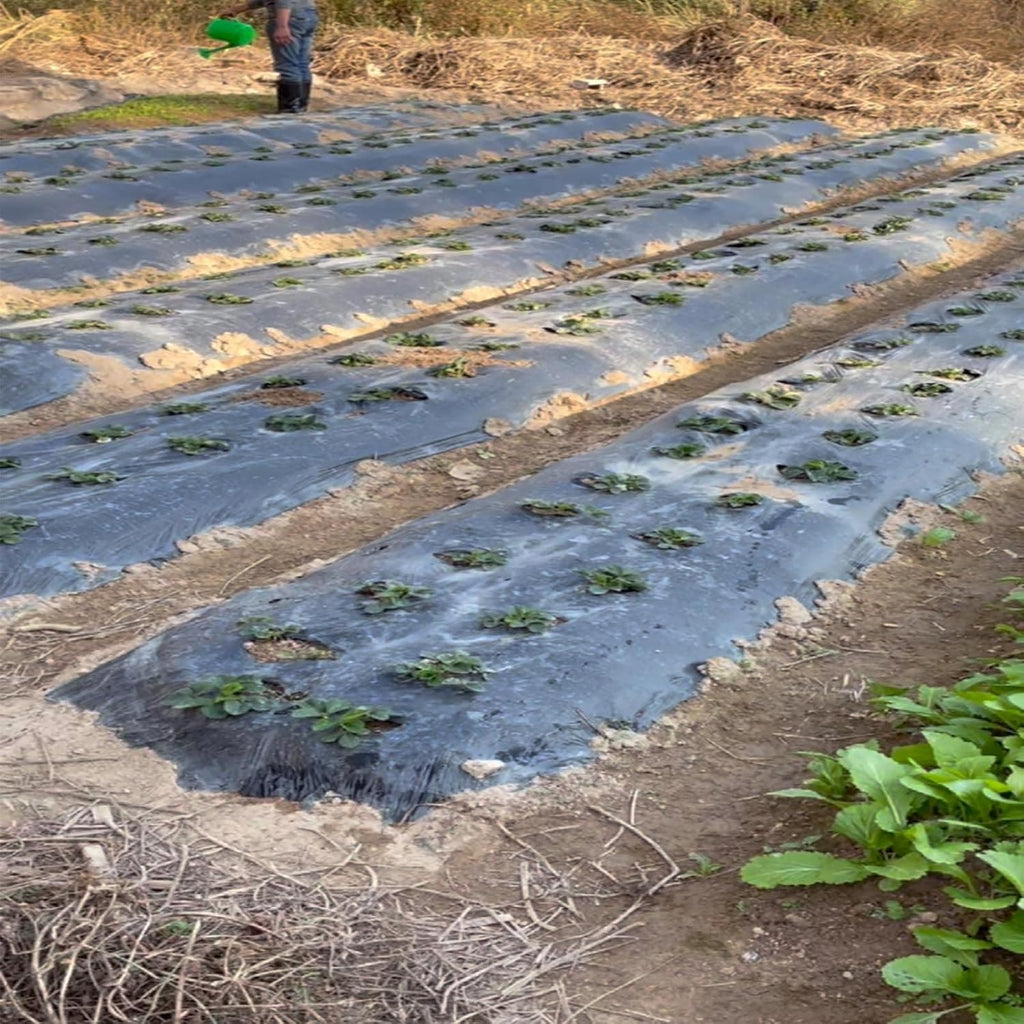 Gartenvlies Unkrautvlies 2 Stück 30g/m² [7,5m²] inkl. 6 Erdanker – Anti-Unkrautfolie Wasserdurchlässig, UV-Stabil & Reißfest