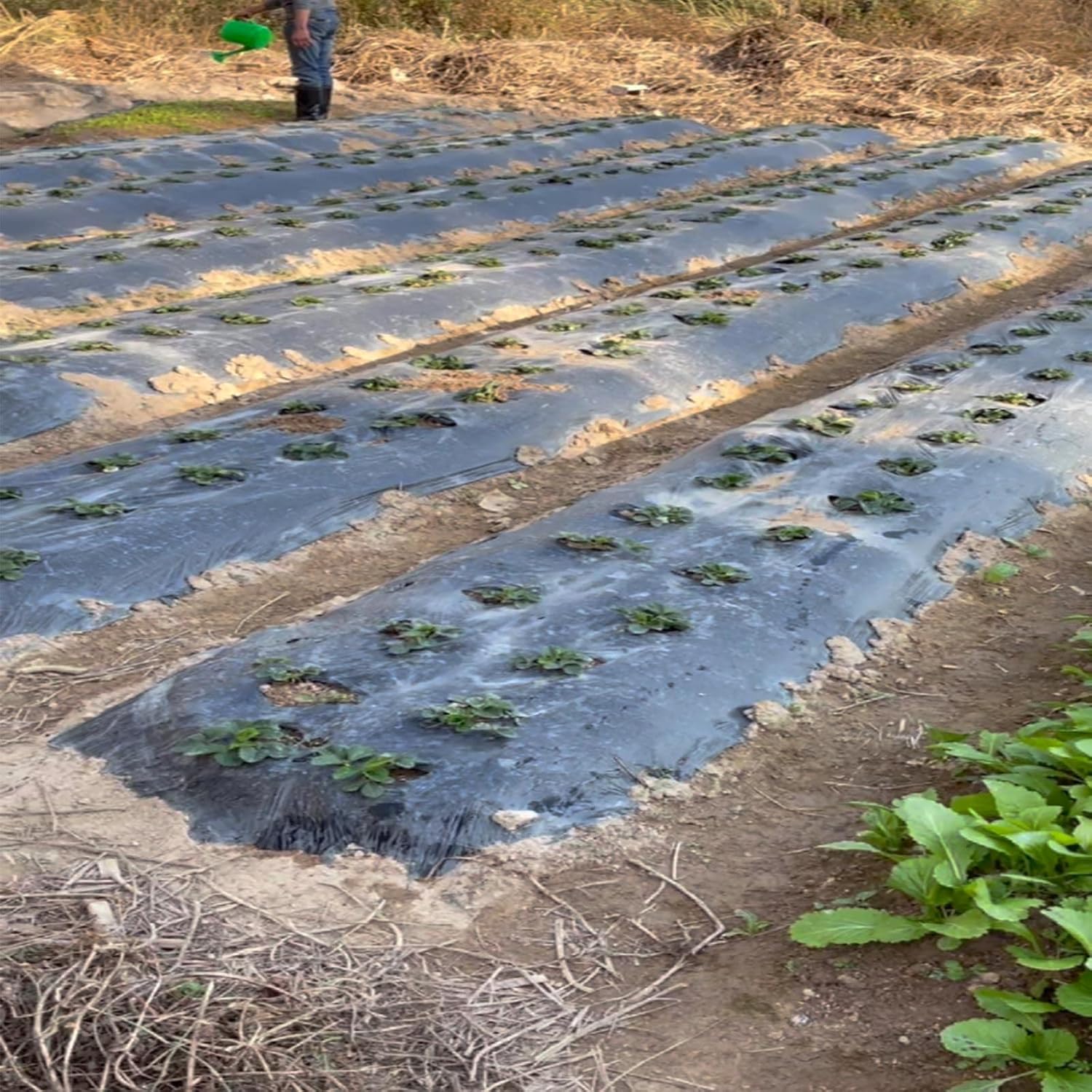 Gartenvlies Unkrautvlies 2 Stück 30g/m² [7,5m²] inkl. 6 Erdanker – Anti-Unkrautfolie Wasserdurchlässig, UV-Stabil & Reißfest