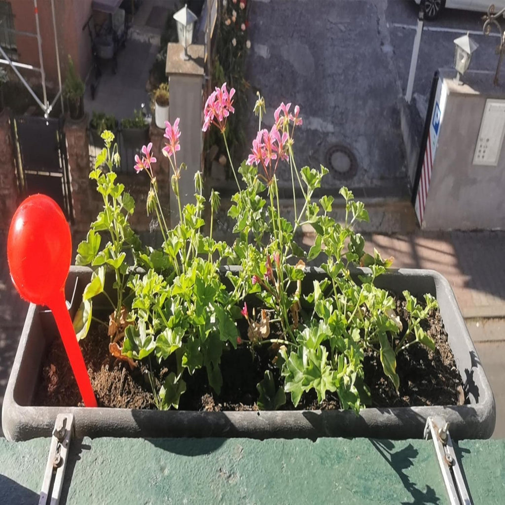 Pflanzenaufhänger 2 Stück – Wandhaken Blumenfenster Box Pflanzgefäß Halter für Montage, Geländer & Balkon, Verstellbar